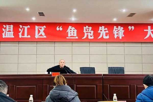 鱼凫先锋, 探索现代发展与应用