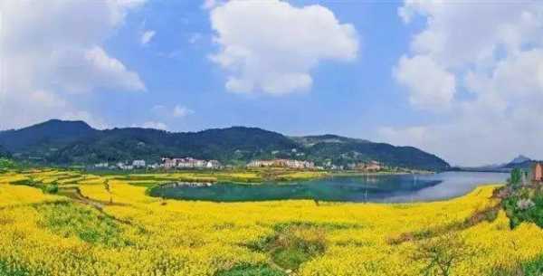 龙韵村, 探寻隐藏的乡村魅力