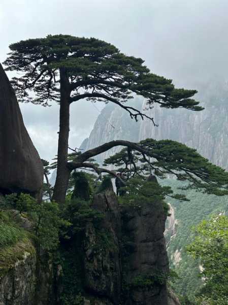 4月份黄山旅游攻略, 让你的旅程更精彩!