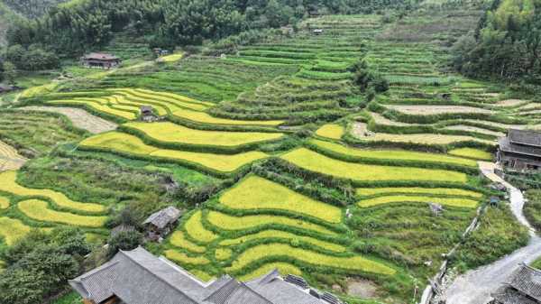 上堡梯田旅游攻略, 究竟怎么玩最划算？