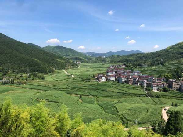 丽水大洋山旅游攻略, 轻松畅玩美丽景点！
