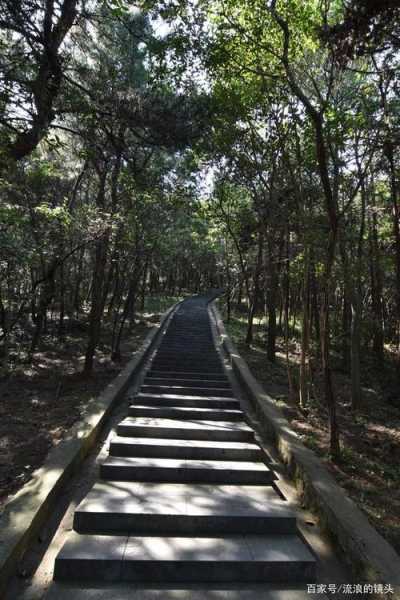冶父山旅游攻略, 一次难忘的自然之旅！