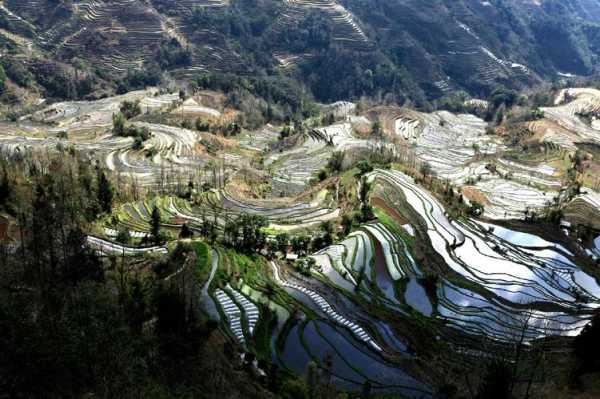 哀牢山自驾旅游攻略, 畅享美丽风光和独特文化