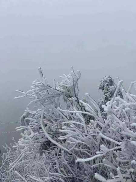 哈尔滨猫儿山旅游攻略, 玩转冬季雪景与美食