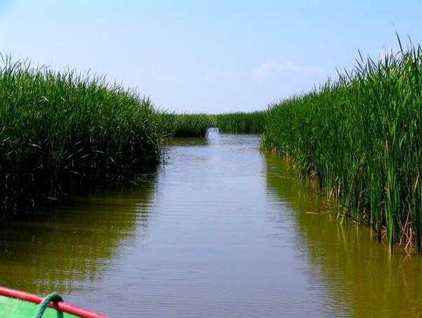 夏季查干湖旅游攻略, 玩转清凉水域的最佳方式