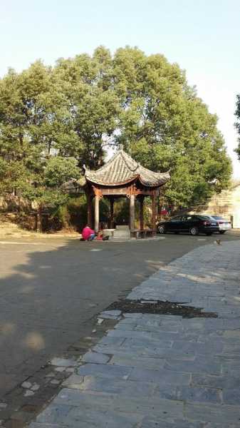 大余湾旅游攻略, 玩转这个迷人海湾的秘诀