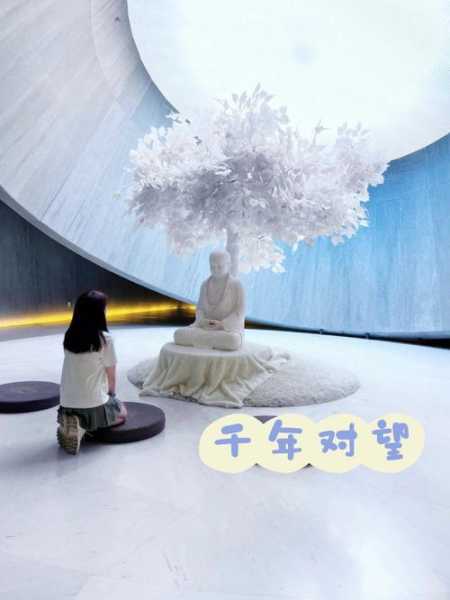 大报恩寺旅游攻略,如何规划完美行程?