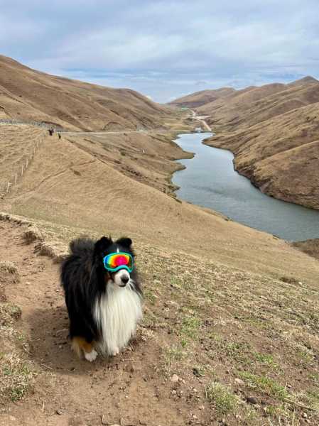 大海草山旅游攻略, 适合什么季节去?