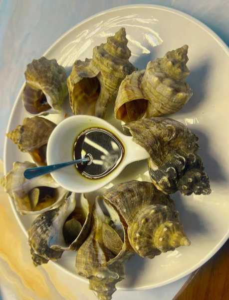 大连章子岛旅游攻略, 含最佳游玩时间与美食推荐