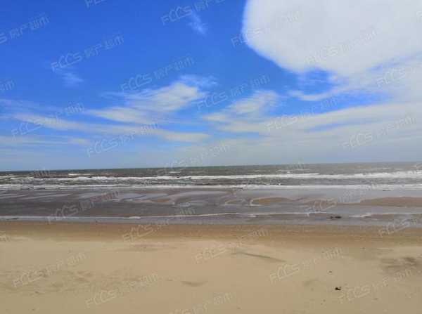 澳景蓝湾旅游攻略, 必看的景点与活动指南