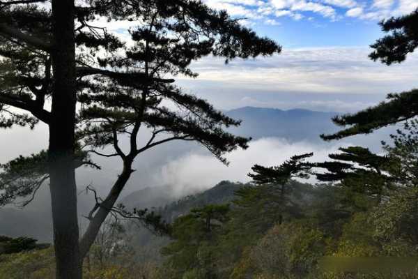 白马尖旅游攻略, 玩转这个仙境的必备指南