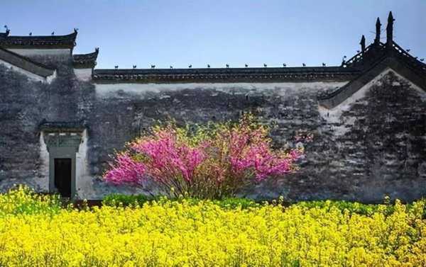 石潭村旅游攻略, 如何规划你的完美行程？