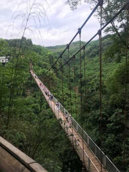 邛崃金鸡谷旅游攻略, 不容错过的景点与玩法!