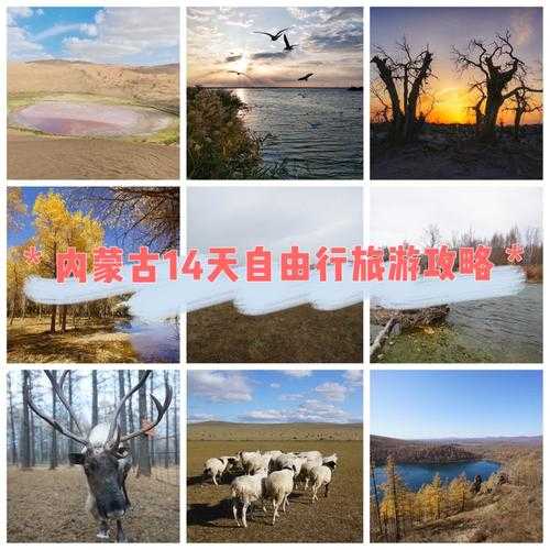 露水河旅游攻略,玩转这个美丽的目的地！