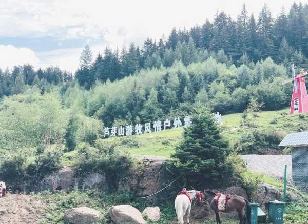 马仑草原旅游攻略, 如何规划完美行程?