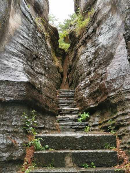 黎坪森林公园旅游攻略, 探索绝美自然风光与活动