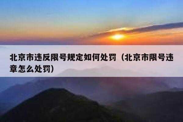 北京限号处罚 2014, 如何避免罚款?