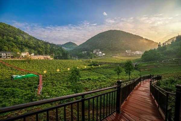 9月花坪旅游攻略, 探索秋季美景与活动