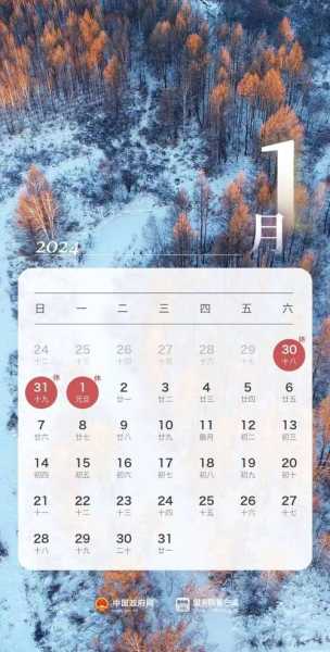 2024年8月12日保定限号, 你需要了解哪些信息？