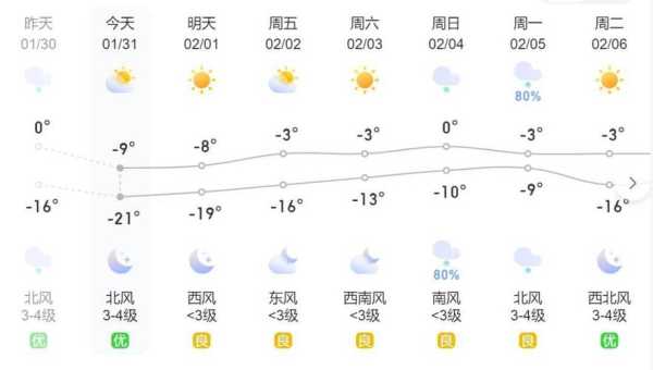 南宫天气预报天, 今天气温和降水情况如何?