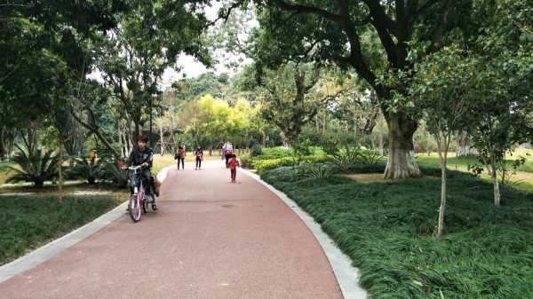 莆田荔城西天尾天气, 如何提前规划出行?