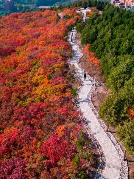 万山旅游, 感受自然与人文的完美融合
