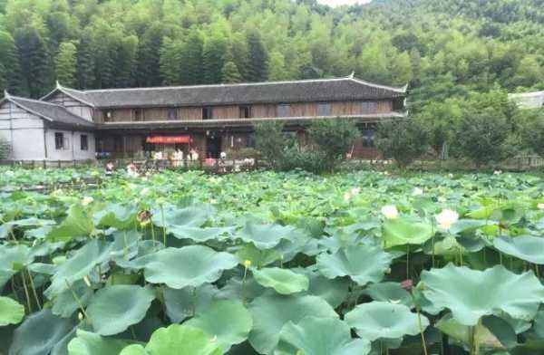 三八旅游, 女士们的专属假期去哪儿好?