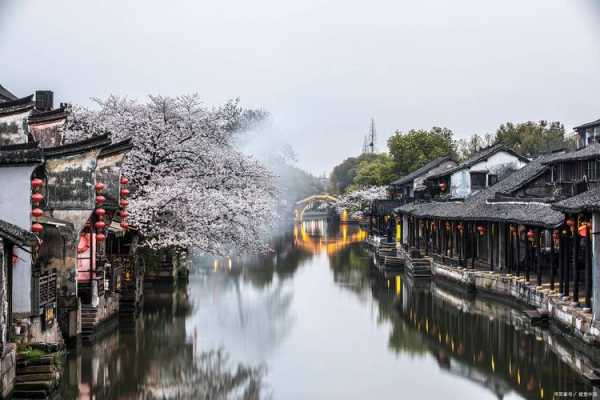 乌镇旅游图片,探索这座水乡的魅力与美景