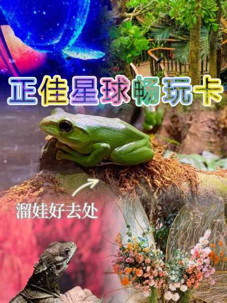 遛遛旅游, 畅玩全球的最佳选择是什么?