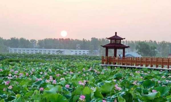 阜南旅游,必去景点与攻略推荐
