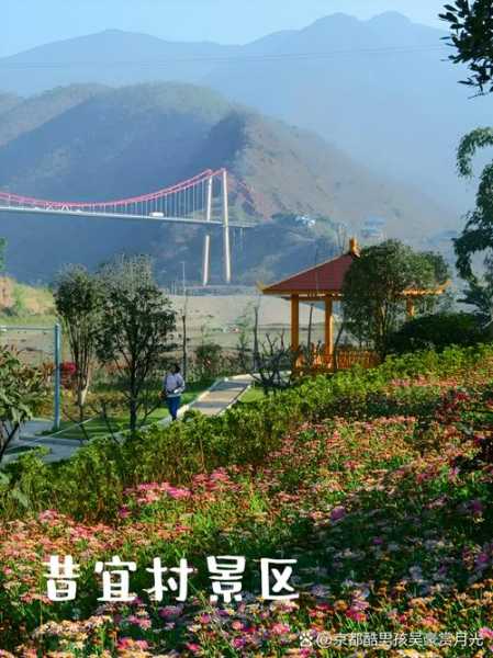 阳高旅游, 探索这座迷人小城的秘密