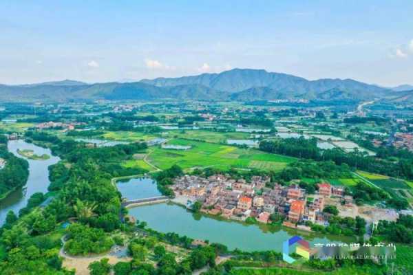 高明旅游景点,有哪些不容错过的地方?